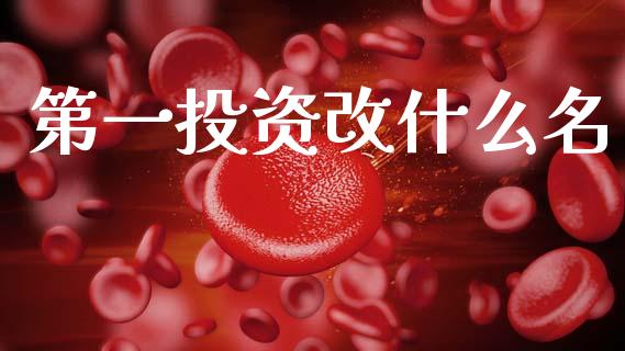 第一投资改什么名_https://m.fsyjjx.cn_期货如何开户_第1张
