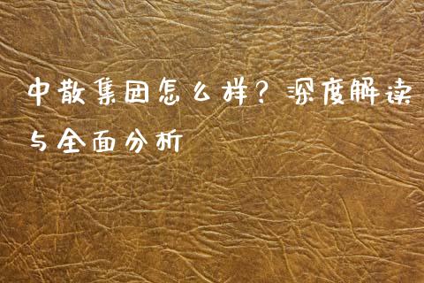中散集团怎么样？深度解读与全面分析_https://m.fsyjjx.cn_股指期货保证金_第1张