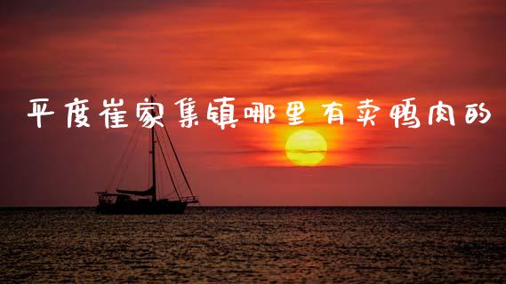 平度崔家集镇哪里有卖鸭肉的_https://m.fsyjjx.cn_股指期货保证金_第1张