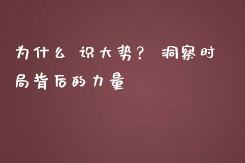 为什么 识大势？ 洞察时局背后的力量_https://m.fsyjjx.cn_期货保证金计算_第1张