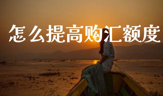 怎么提高购汇额度_https://m.fsyjjx.cn_期货保证金_第1张