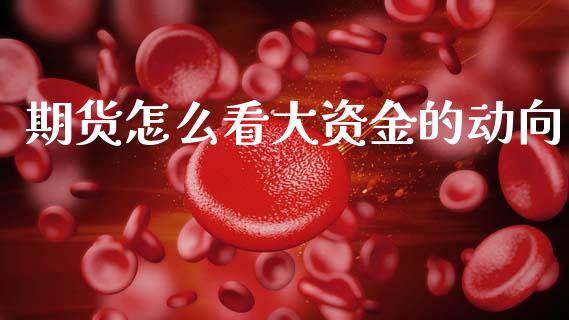 期货怎么看大资金的动向_https://m.fsyjjx.cn_期货保证金计算_第1张