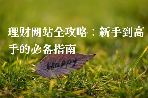 理财网站全攻略：新手到高手的必备指南_https://m.fsyjjx.cn_期货保证金_第1张