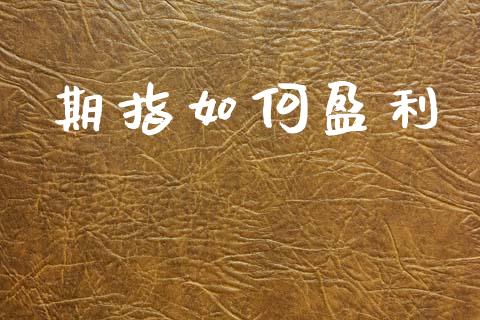 期指如何盈利_https://m.fsyjjx.cn_股指期货保证金_第1张