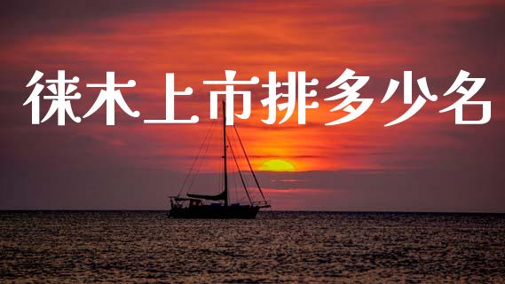 徕木上市排多少名_https://m.fsyjjx.cn_期货如何开户_第1张