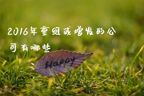 2016年重组或增发的公司有哪些_https://m.fsyjjx.cn_期货保证金计算_第1张
