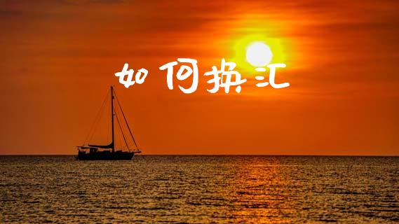如何换汇_https://m.fsyjjx.cn_期货保证金_第1张