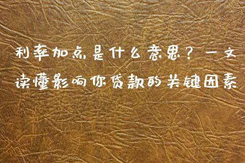 利率加点是什么意思？一文读懂影响你贷款的关键因素_https://m.fsyjjx.cn_股指期货保证金_第1张