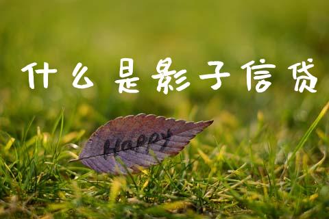 什么是影子信贷_https://m.fsyjjx.cn_期货如何开户_第1张