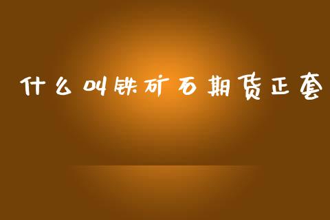 什么叫铁矿石期货正套_https://m.fsyjjx.cn_期货保证金计算_第1张