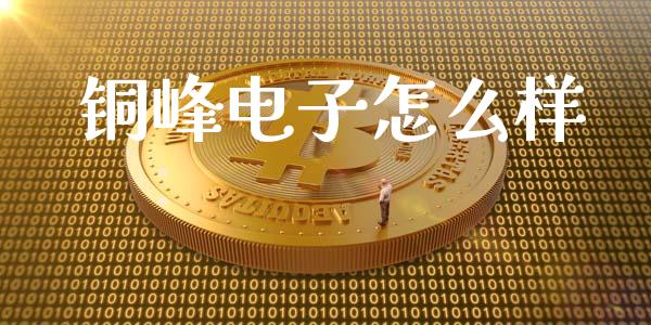 铜峰电子怎么样_https://m.fsyjjx.cn_期货保证金计算_第1张