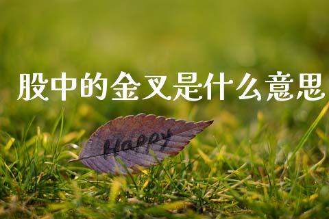 股中的金叉是什么意思_https://m.fsyjjx.cn_期货保证金_第1张
