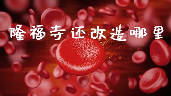 隆福寺还改造哪里_https://m.fsyjjx.cn_期货保证金计算_第1张