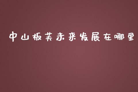 中山板芙未来发展在哪里_https://m.fsyjjx.cn_期货如何开户_第1张