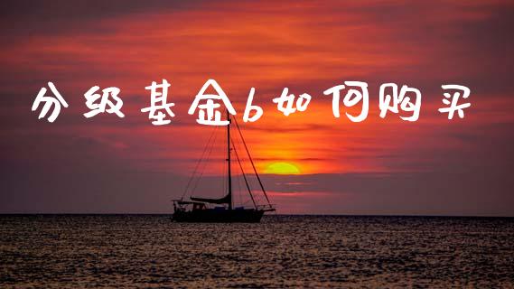 分级基金b如何购买_https://m.fsyjjx.cn_股指期货保证金_第1张