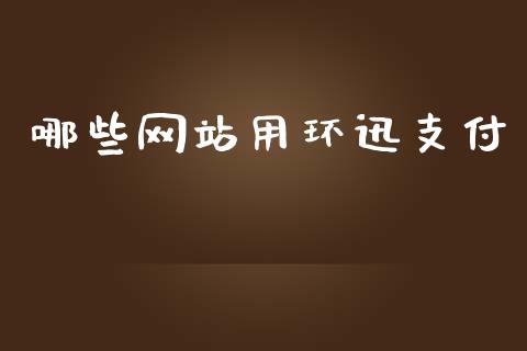 哪些网站用环迅支付_https://m.fsyjjx.cn_期货保证金_第1张