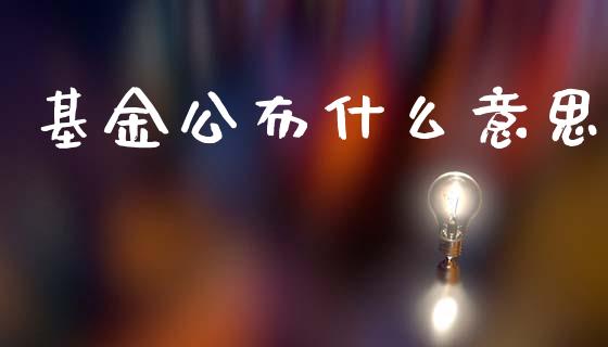 基金公布什么意思_https://m.fsyjjx.cn_股指期货保证金_第1张