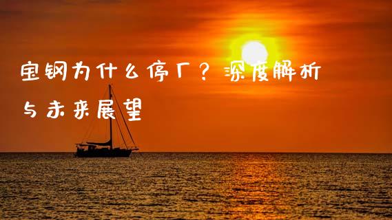 宝钢为什么停厂？深度解析与未来展望_https://m.fsyjjx.cn_期货如何开户_第1张