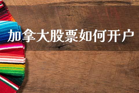 加拿大股票如何开户_https://m.fsyjjx.cn_期货保证金_第1张