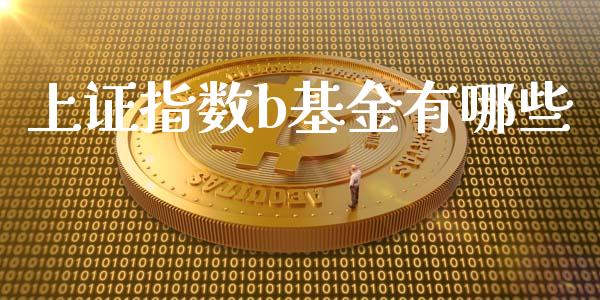 上证指数b基金有哪些_https://m.fsyjjx.cn_股指期货保证金_第1张