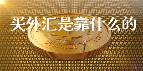 买外汇是靠什么的_https://m.fsyjjx.cn_股指期货保证金_第1张