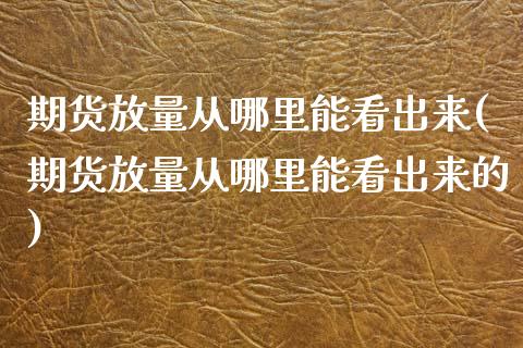 期货放量从哪里能看出来(期货放量从哪里能看出来的)_https://m.fsyjjx.cn_股指期货保证金_第1张