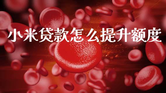 小米贷款怎么提升额度_https://m.fsyjjx.cn_期货保证金计算_第1张