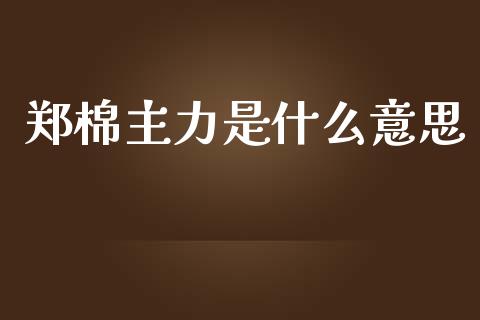郑棉主力是什么意思_https://m.fsyjjx.cn_期货保证金计算_第1张