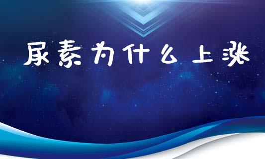 尿素为什么上涨_https://m.fsyjjx.cn_股指期货保证金_第1张