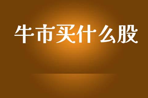 牛市买什么股_https://m.fsyjjx.cn_期货保证金_第1张