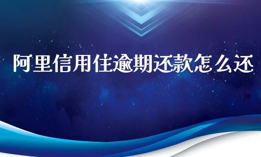 阿里信用住逾期还款怎么还_https://m.fsyjjx.cn_期货保证金计算_第1张