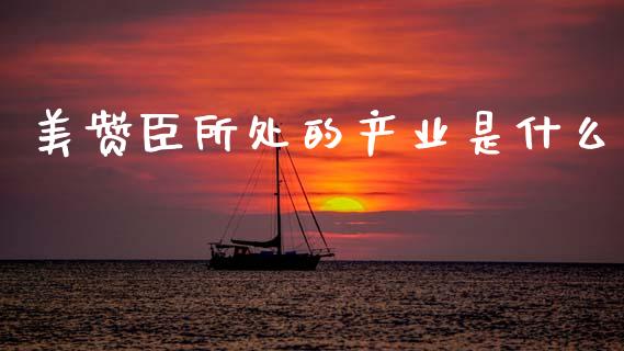 美赞臣所处的产业是什么_https://m.fsyjjx.cn_期货保证金_第1张