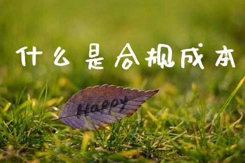 什么是合规成本_https://m.fsyjjx.cn_期货保证金计算_第1张