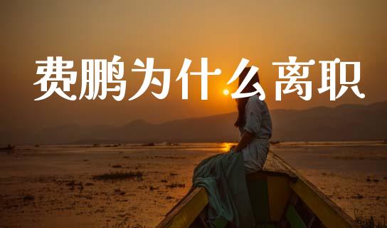 费鹏为什么离职_https://m.fsyjjx.cn_股指期货保证金_第1张