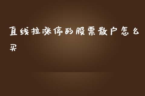 直线拉涨停的股票散户怎么买_https://m.fsyjjx.cn_期货保证金计算_第1张