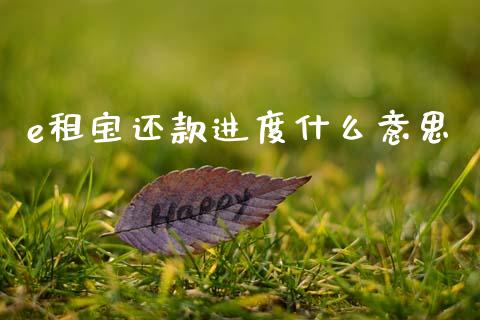 e租宝还款进度什么意思_https://m.fsyjjx.cn_期货保证金_第1张