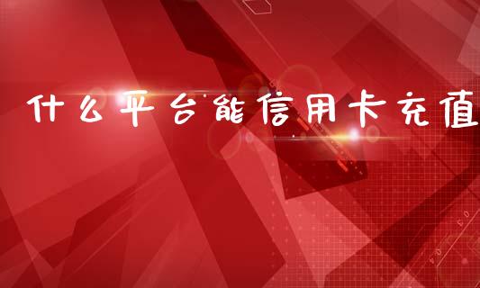 什么平台能信用卡充值_https://m.fsyjjx.cn_期货保证金_第1张