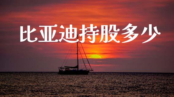 比亚迪持股多少_https://m.fsyjjx.cn_股指期货保证金_第1张
