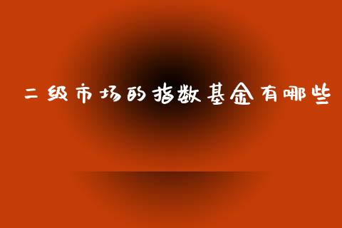 二级市场的指数基金有哪些_https://m.fsyjjx.cn_期货保证金_第1张