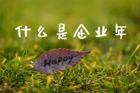 什么是企业年_https://m.fsyjjx.cn_期货如何开户_第1张