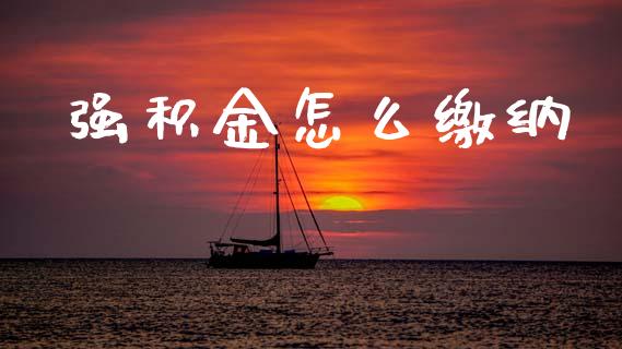 强积金怎么缴纳_https://m.fsyjjx.cn_期货如何开户_第1张