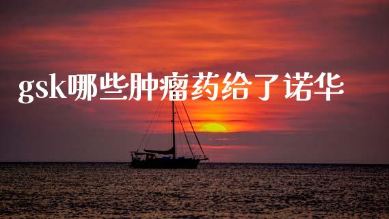 gsk哪些肿瘤药给了诺华_https://m.fsyjjx.cn_期货保证金计算_第1张