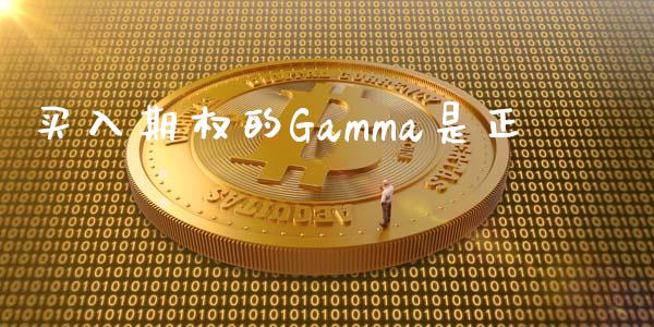买入期权的Gamma是正_https://m.fsyjjx.cn_股指期货保证金_第1张