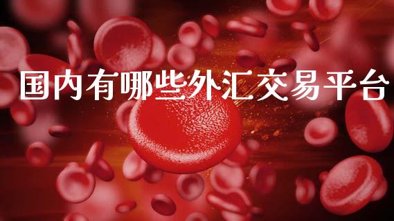 国内有哪些外汇交易平台_https://m.fsyjjx.cn_期货保证金_第1张