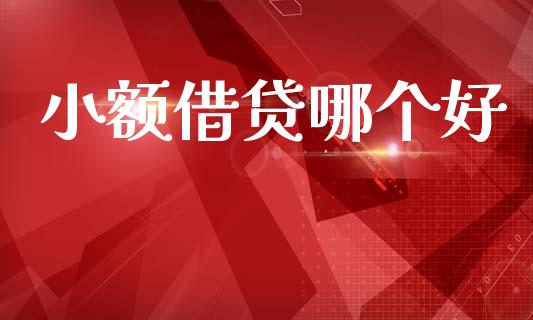 小额借贷哪个好_https://m.fsyjjx.cn_股指期货保证金_第1张