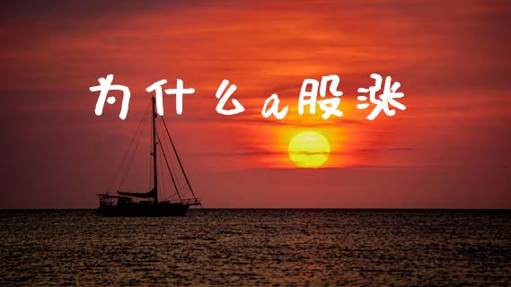 为什么a股涨_https://m.fsyjjx.cn_期货保证金_第1张
