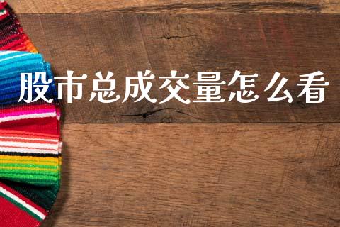 股市总成交量怎么看_https://m.fsyjjx.cn_期货保证金_第1张