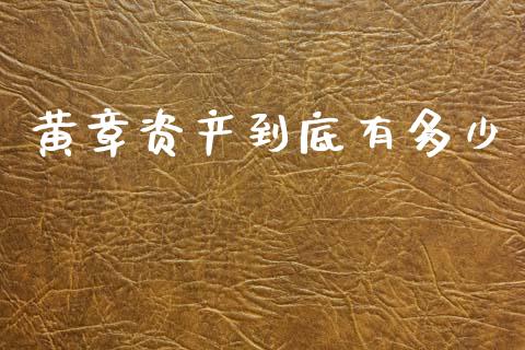 黄章资产到底有多少_https://m.fsyjjx.cn_期货保证金计算_第1张