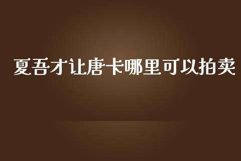 夏吾才让唐卡哪里可以拍卖_https://m.fsyjjx.cn_股指期货保证金_第1张