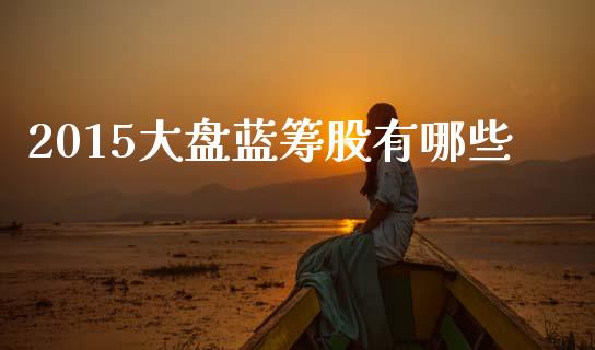 2015大盘蓝筹股有哪些_https://m.fsyjjx.cn_股指期货保证金_第1张